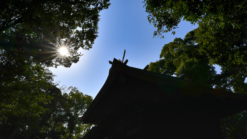 信太森葛葉稲荷神社