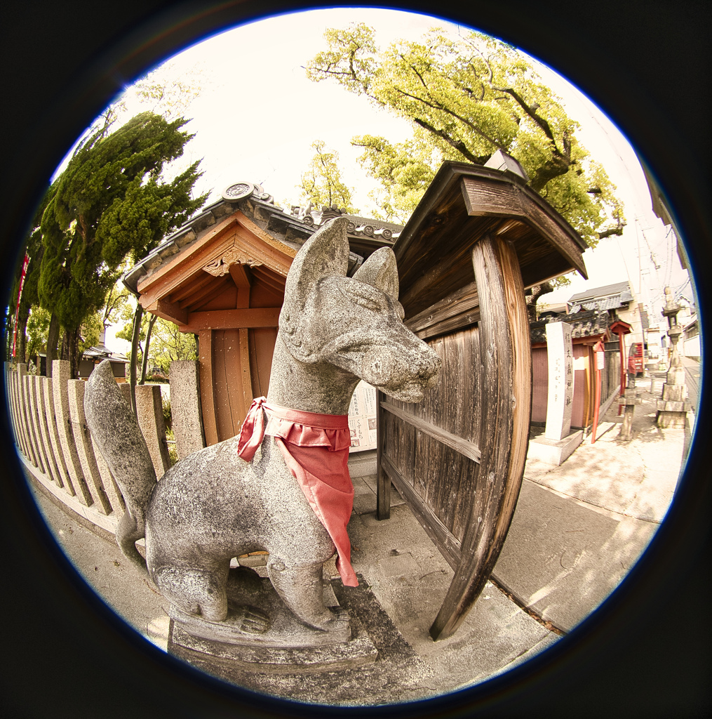 信太森葛葉稲荷神社