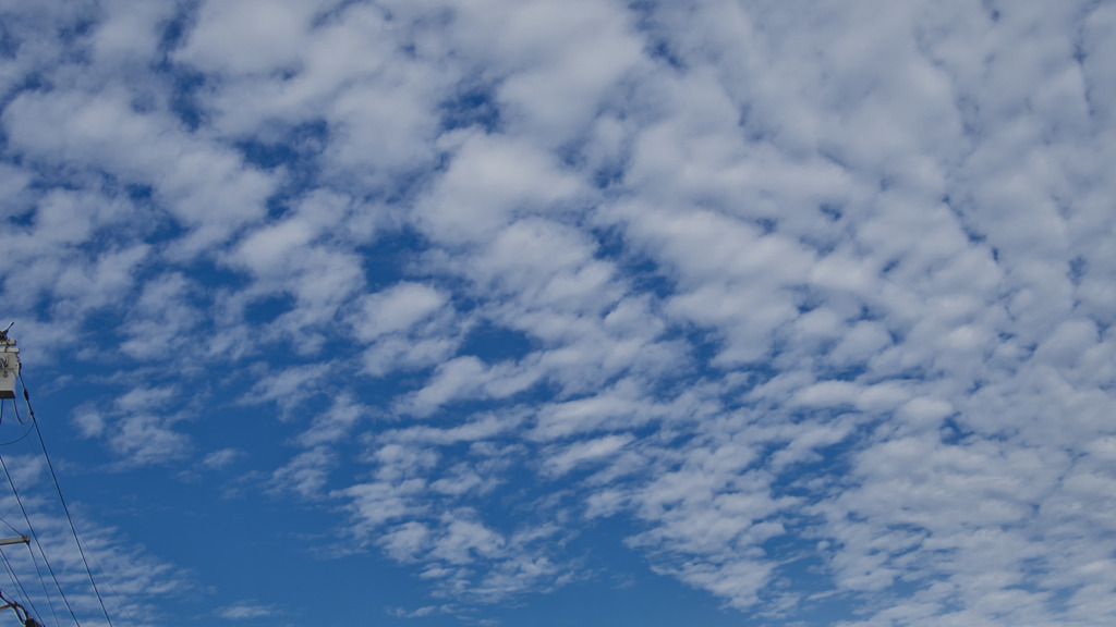秋の空