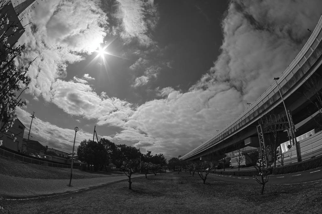 空　Fisheyeにて