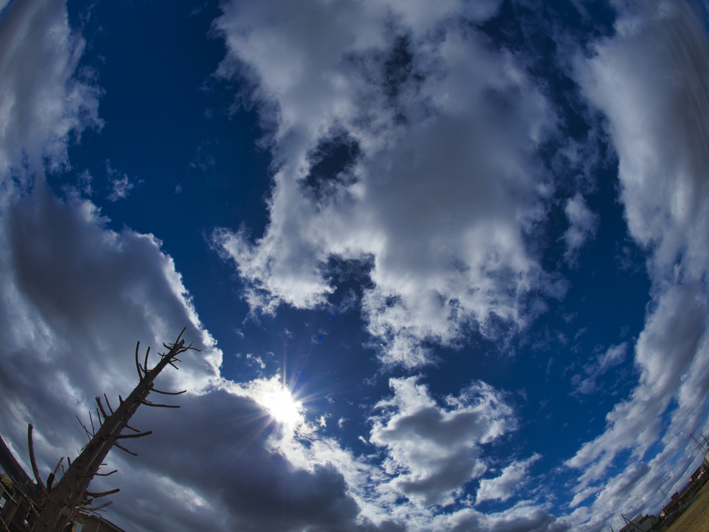秋の空