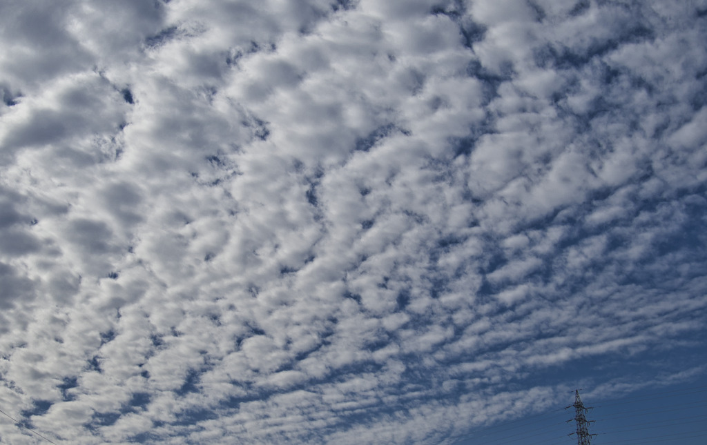 秋の空