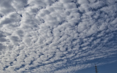 秋の空