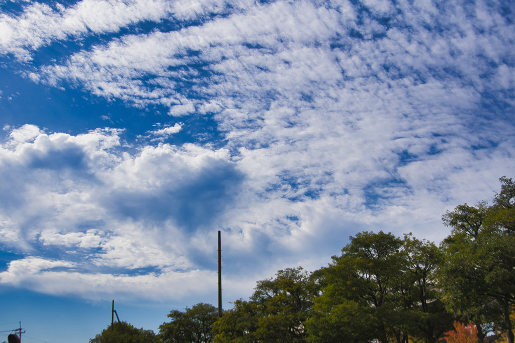 空