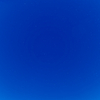 庭からの夜空