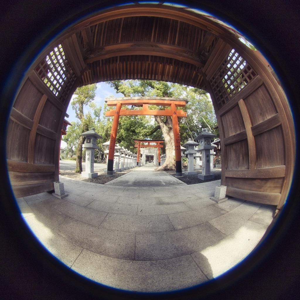 円周魚眼の世界