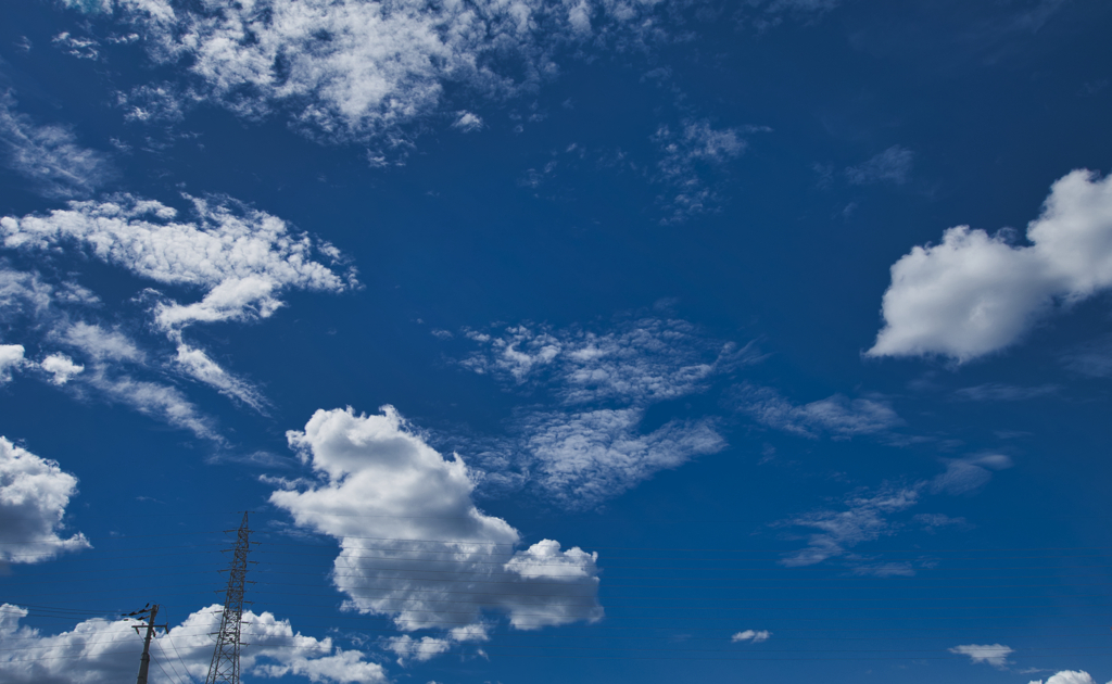 夏の空と雲