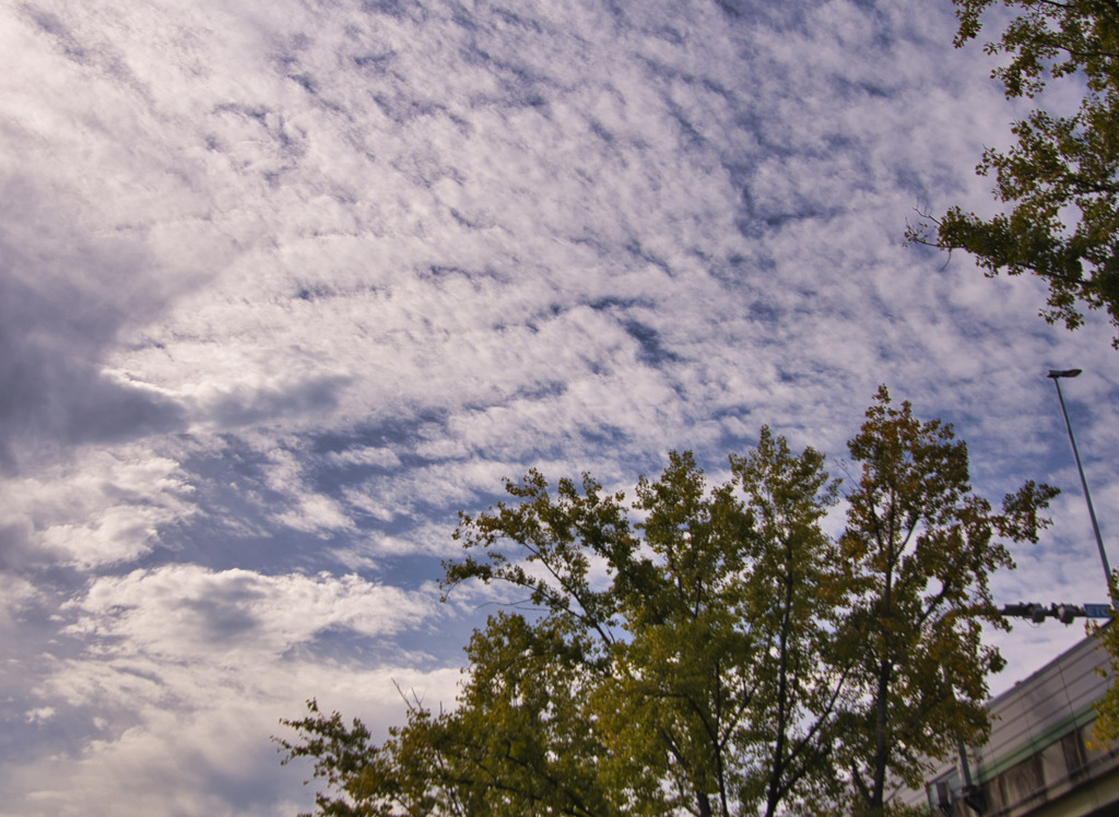 空