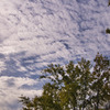空