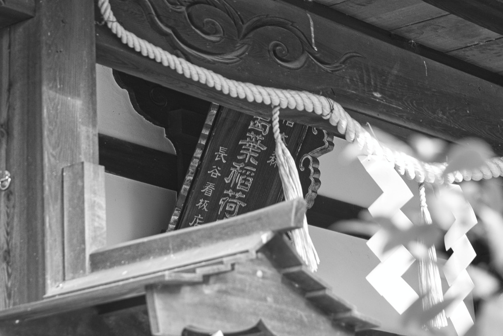 信太森葛葉稲荷神社 (3)