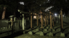 夜の神社