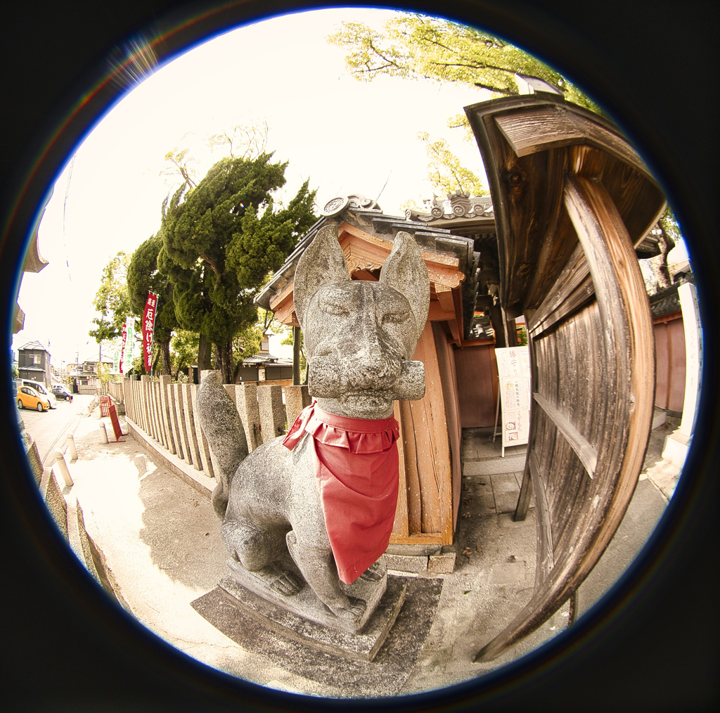 信太森葛葉稲荷神社