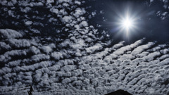 ウロコ雲と太陽