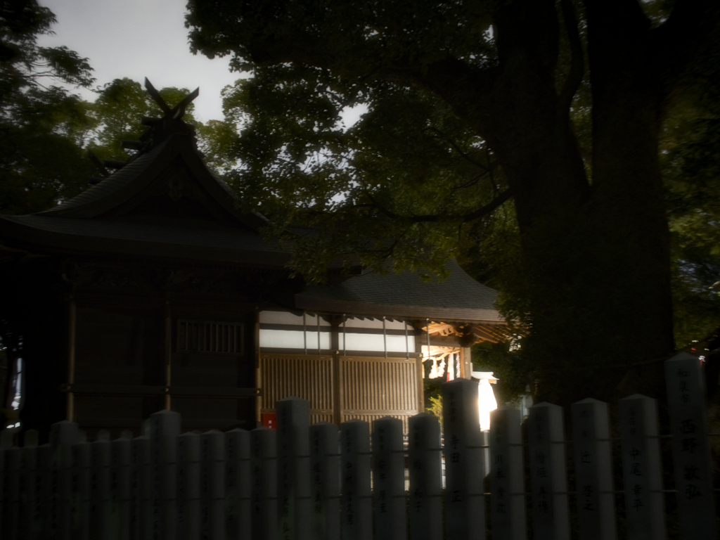 夜の社　信太森葛葉稲荷神社