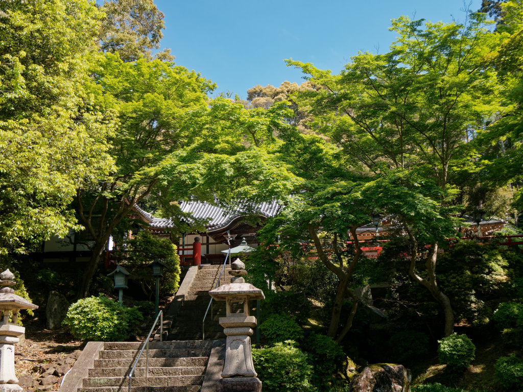 根来寺