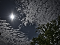 ウロコ雲と太陽