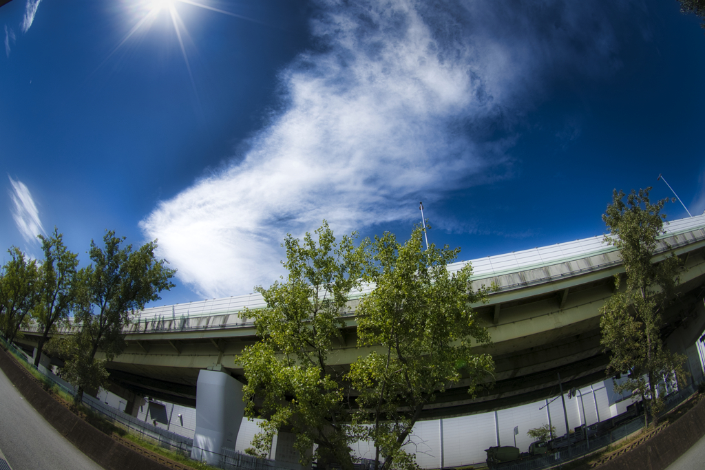 秋の空