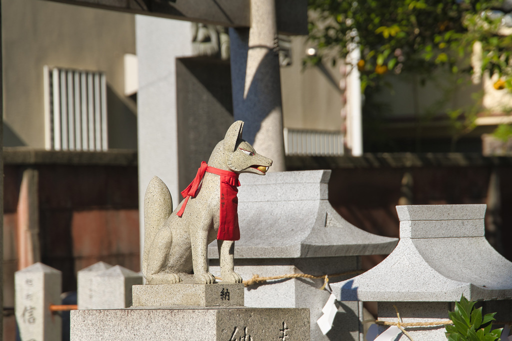 信太森葛葉稲荷神社