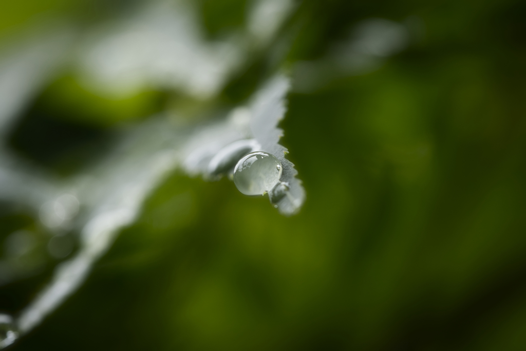 梅雨の止み間に