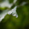 梅雨の止み間に