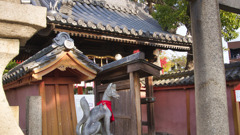 信太森葛葉稲荷神社 (1)