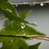 梅雨の止み間に