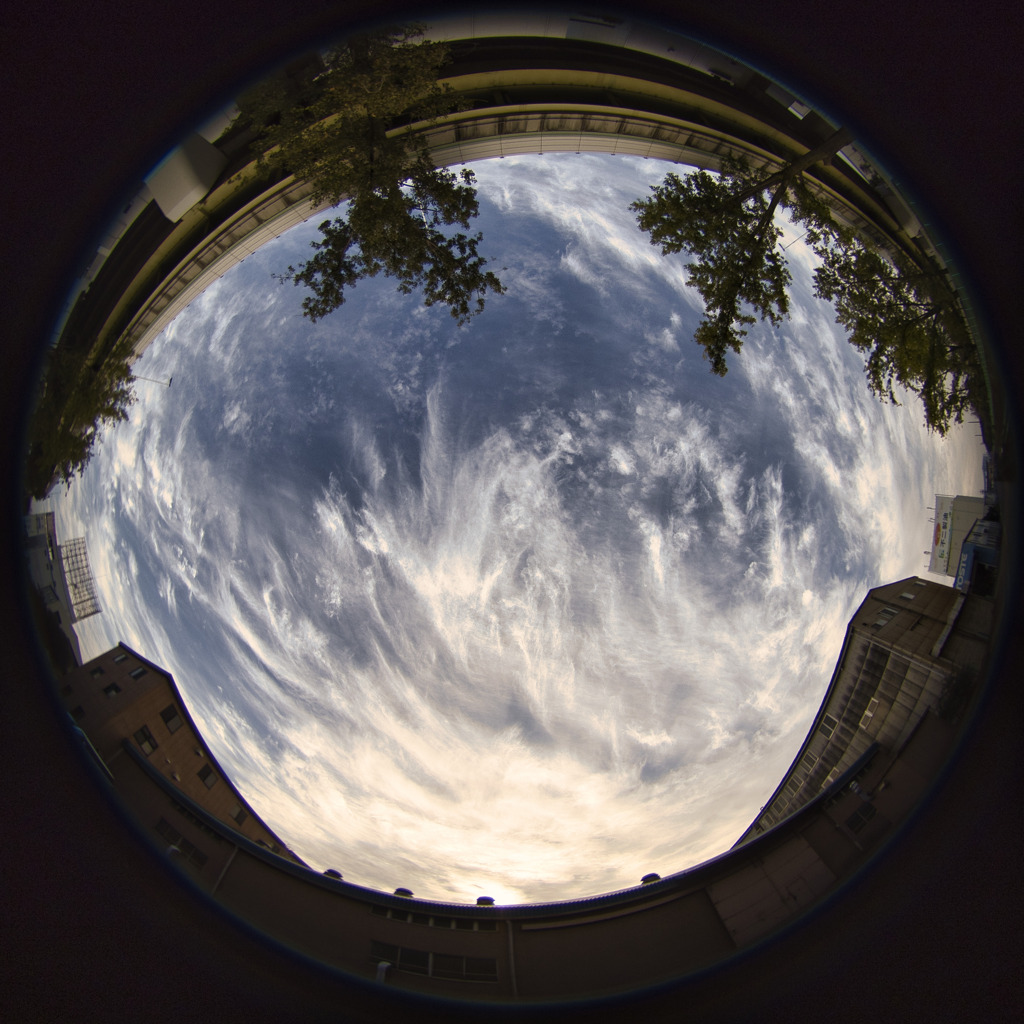 朝の空
