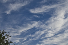 雲