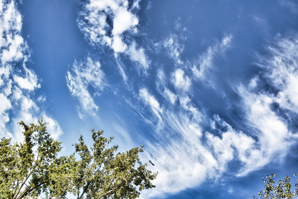 朝の空