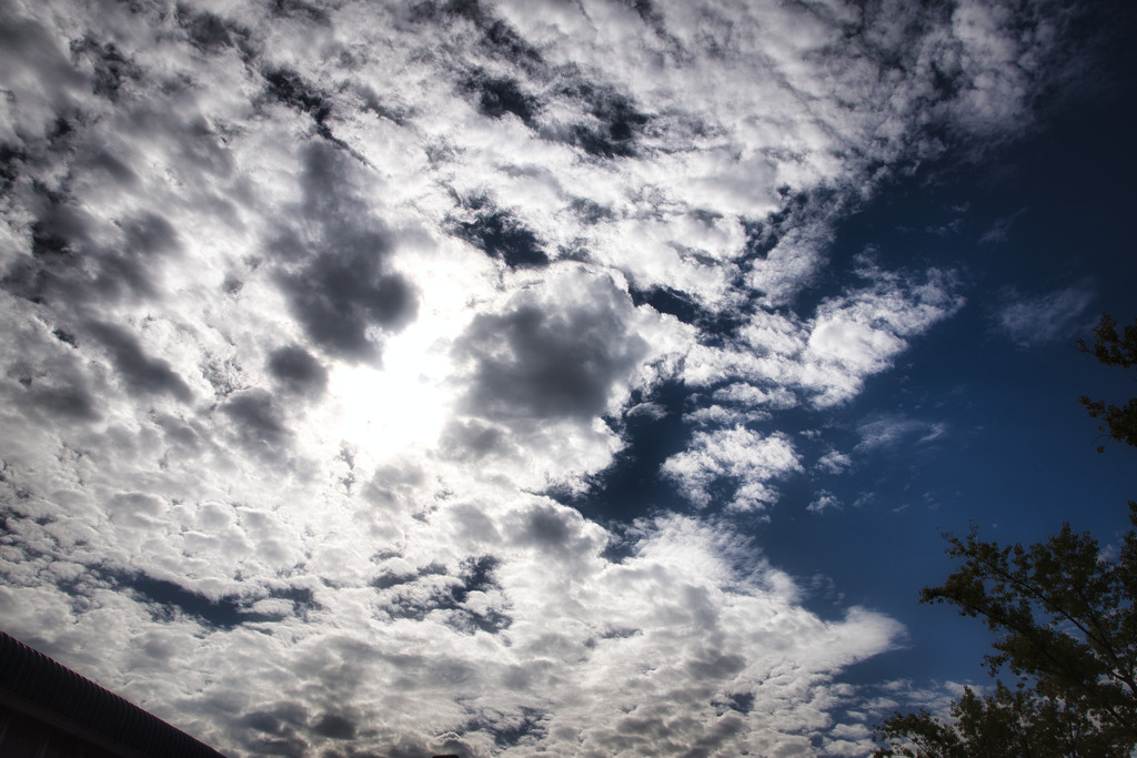 秋の空