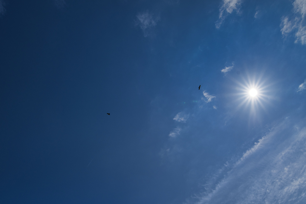 雲と太陽と鳥