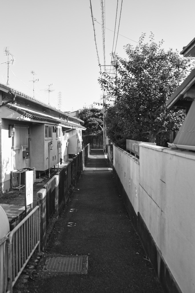 朝の散歩
