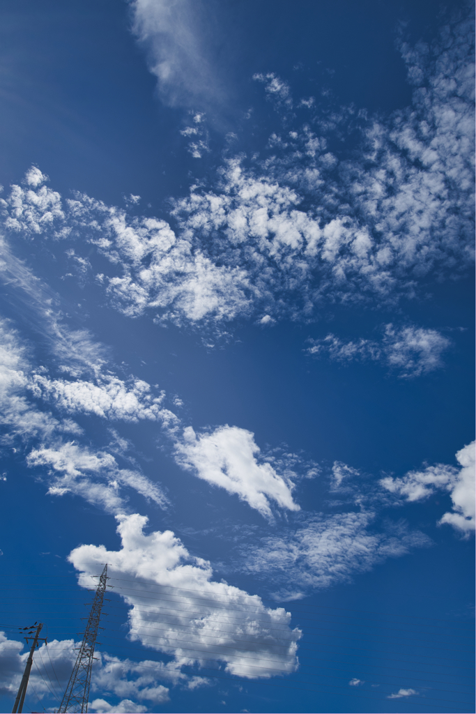 夏の空と雲