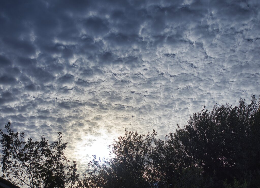 秋の空