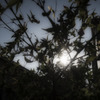 光芒