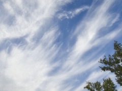 雲