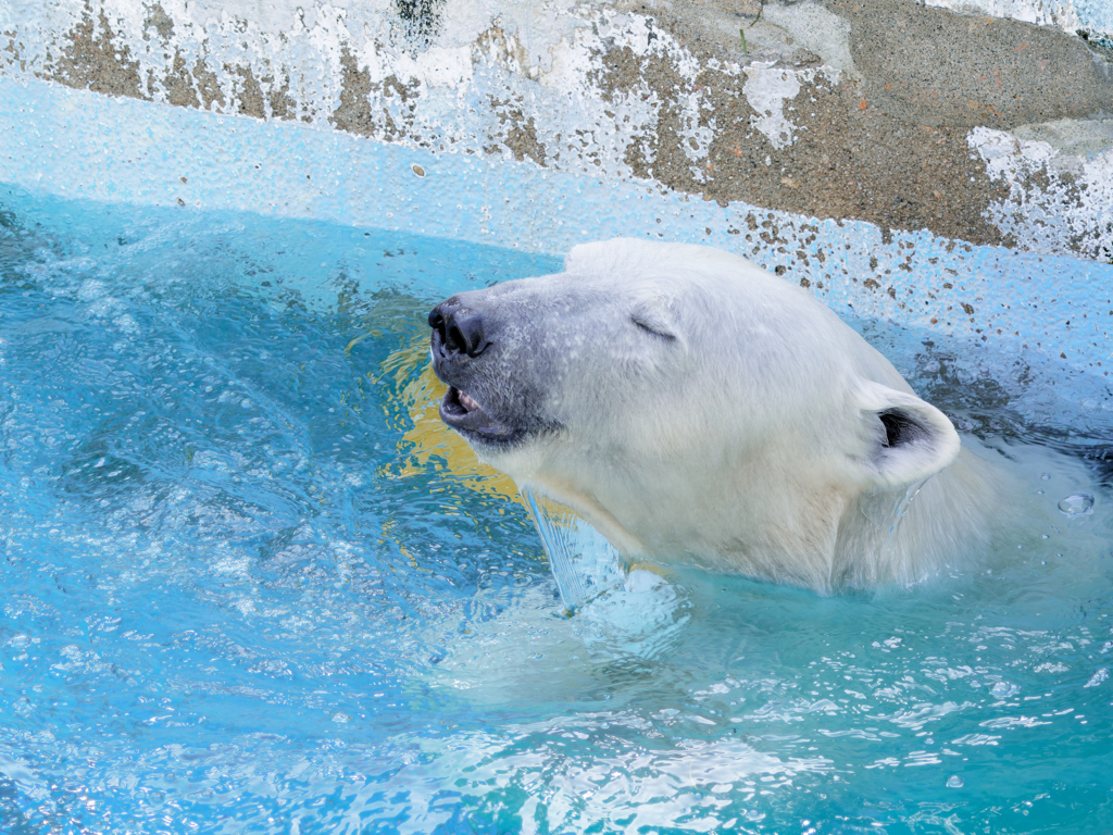 いい湯だなあ～(水ですけどね)