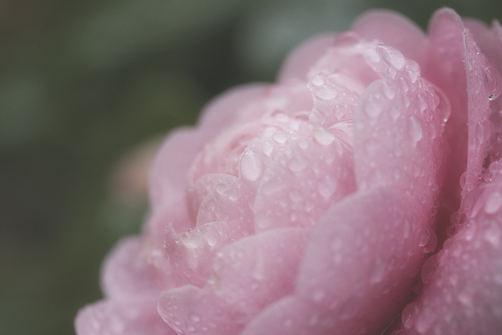 雨の止み間にて