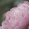 雨の止み間にて