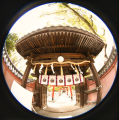 信太森葛葉稲荷神社