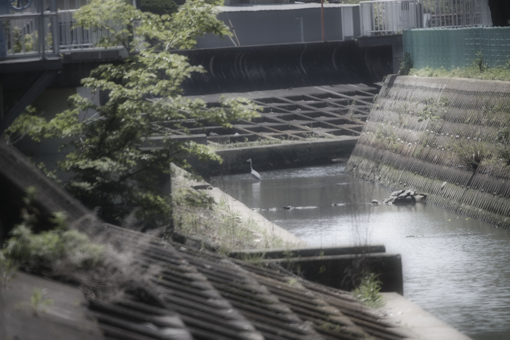 そして遠くに着陸