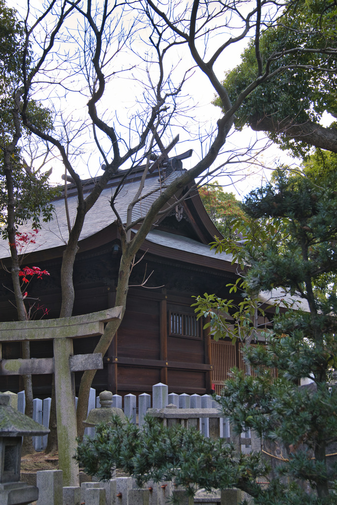 信太森葛葉稲荷神社