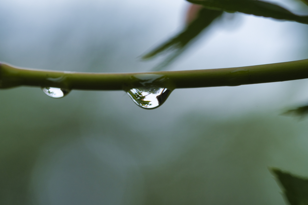 水滴