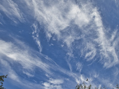 雲