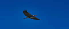 空に