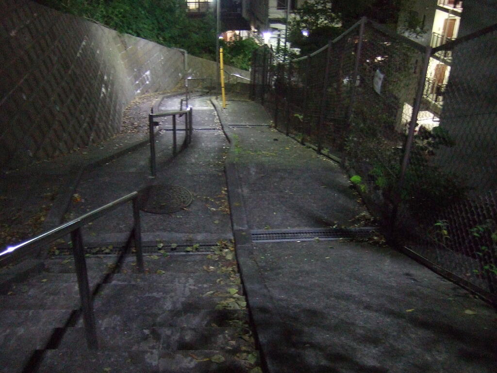 階段 道 夜景