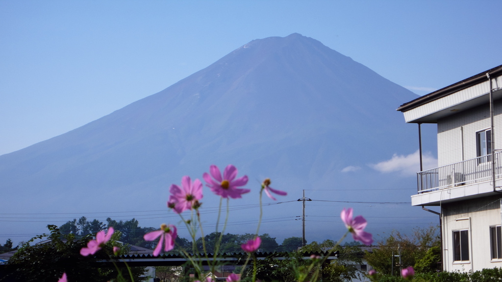 富士山