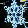 雪光