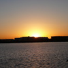 夕日と鳥
