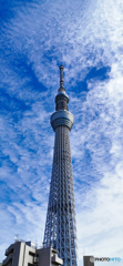 秋空